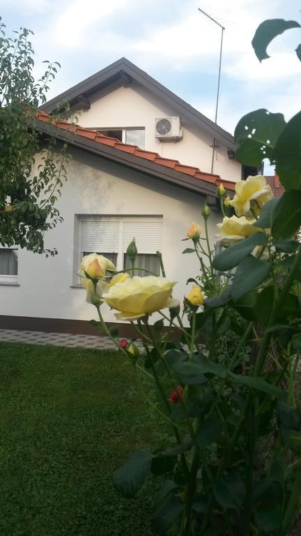 Apartment Cecilia Копривница Стая снимка