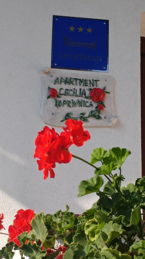 Apartment Cecilia Копривница Екстериор снимка
